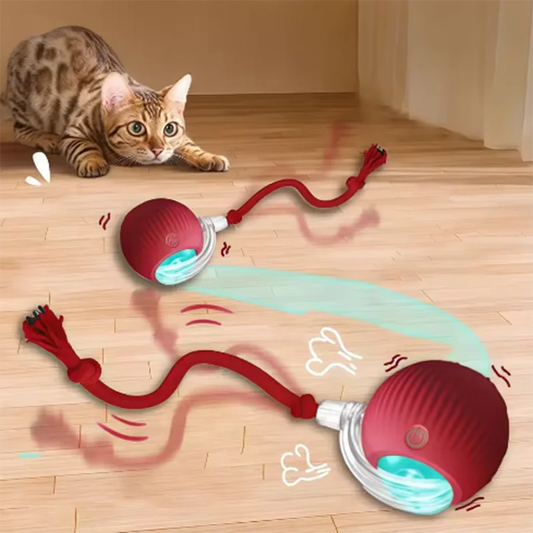 🤖 Smart Interactive Cat Ball - Auto-Avoidance, Rechargeable Toy