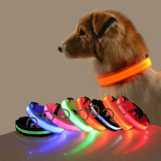 🔦 LED Glow-in-the-Dark Dog Leash - Safety Flashing Nylon Rope